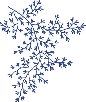 清新森系花枝
