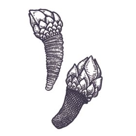 餐饮食物插画元素