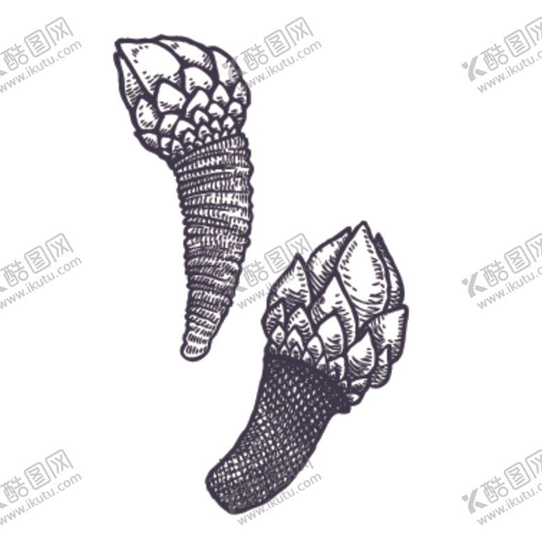 编号：91043905150151176342【酷图网】源文件下载-餐饮食物插画元素