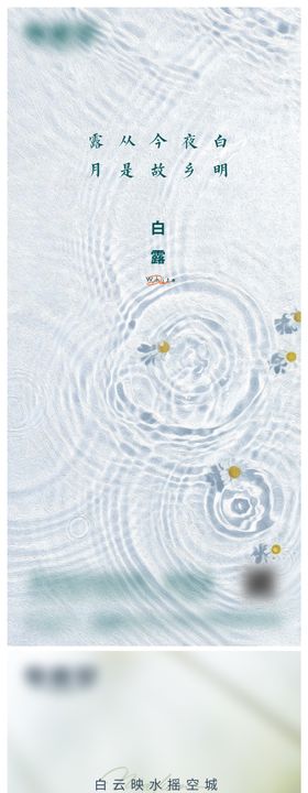 白露海报植物珠池塘二十四节气