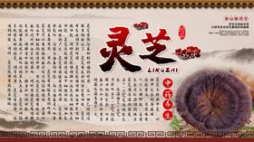 灵芝