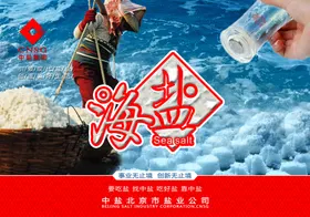 2014中盐主视觉海报设计下载
