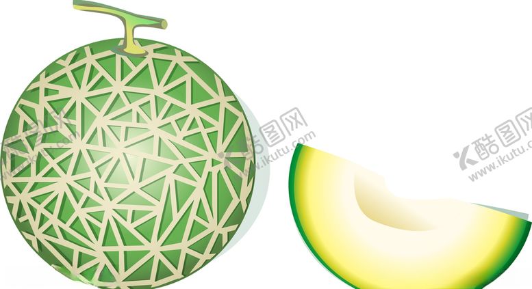 编号：99592609180710331138【酷图网】源文件下载-矢量哈密瓜