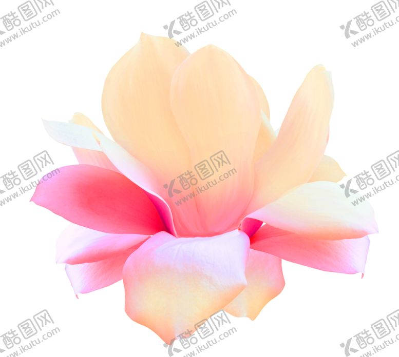 编号：27017009200255237183【酷图网】源文件下载-浪漫素材