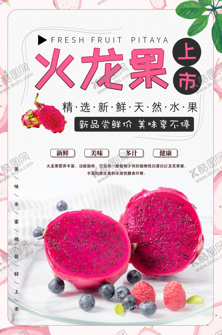 编号：65253307080038432181【酷图网】源文件下载-火龙果