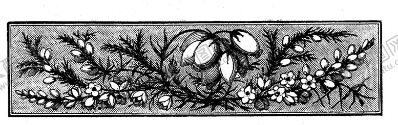 编号：57898209240523413914【酷图网】源文件下载-花纹边框