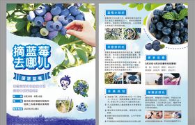 蓝莓园采摘单页