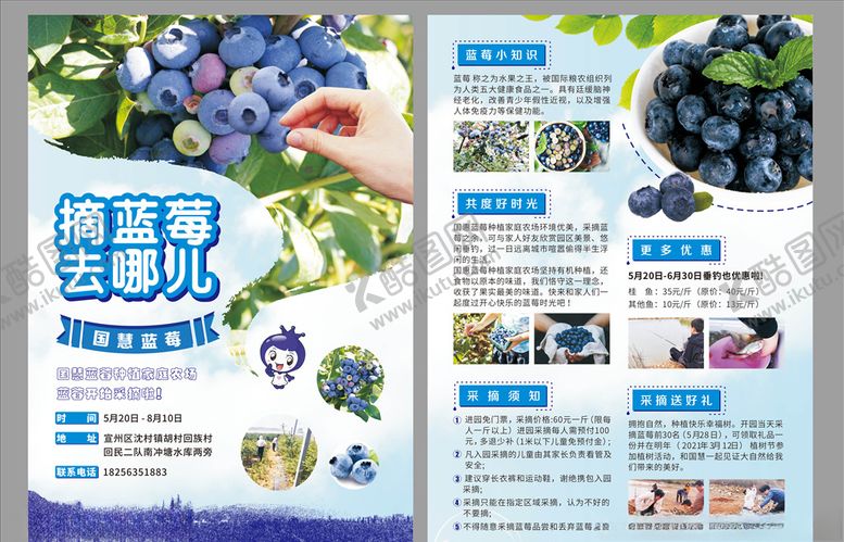 编号：84839507071727491329【酷图网】源文件下载-蓝莓园采摘单页
