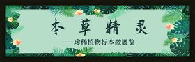 本草精灵花草树叶绿色