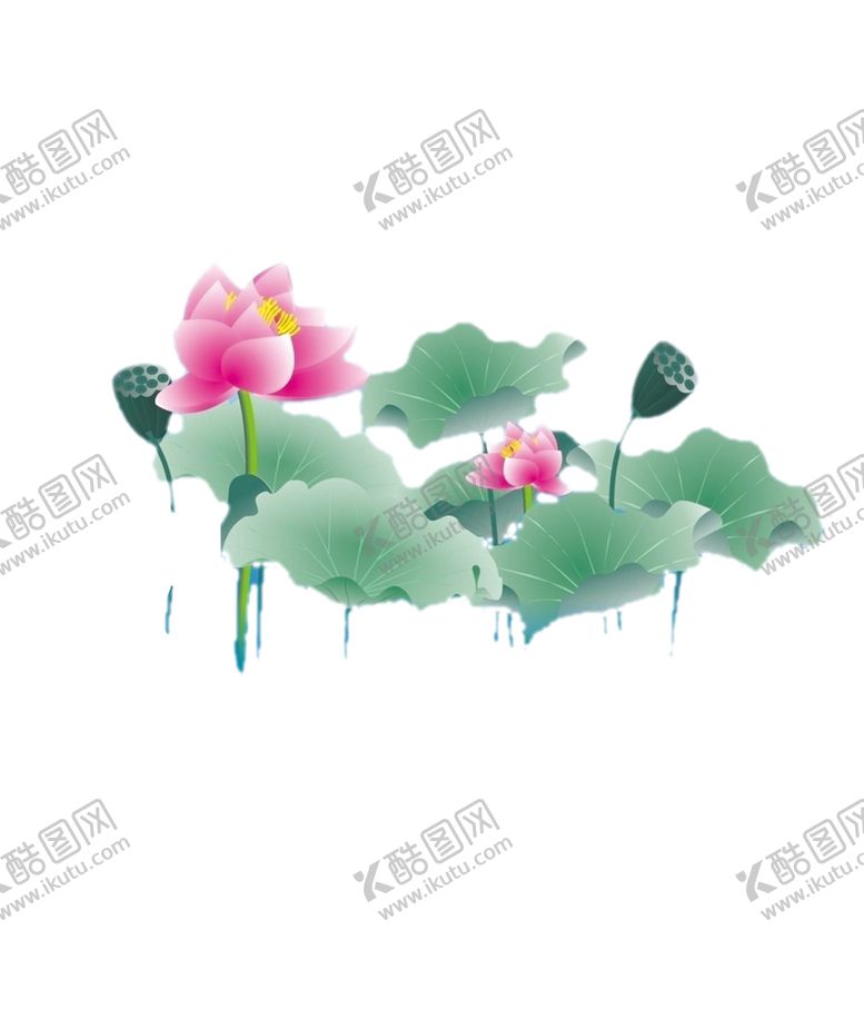 编号：78035210180818151928【酷图网】源文件下载-荷花