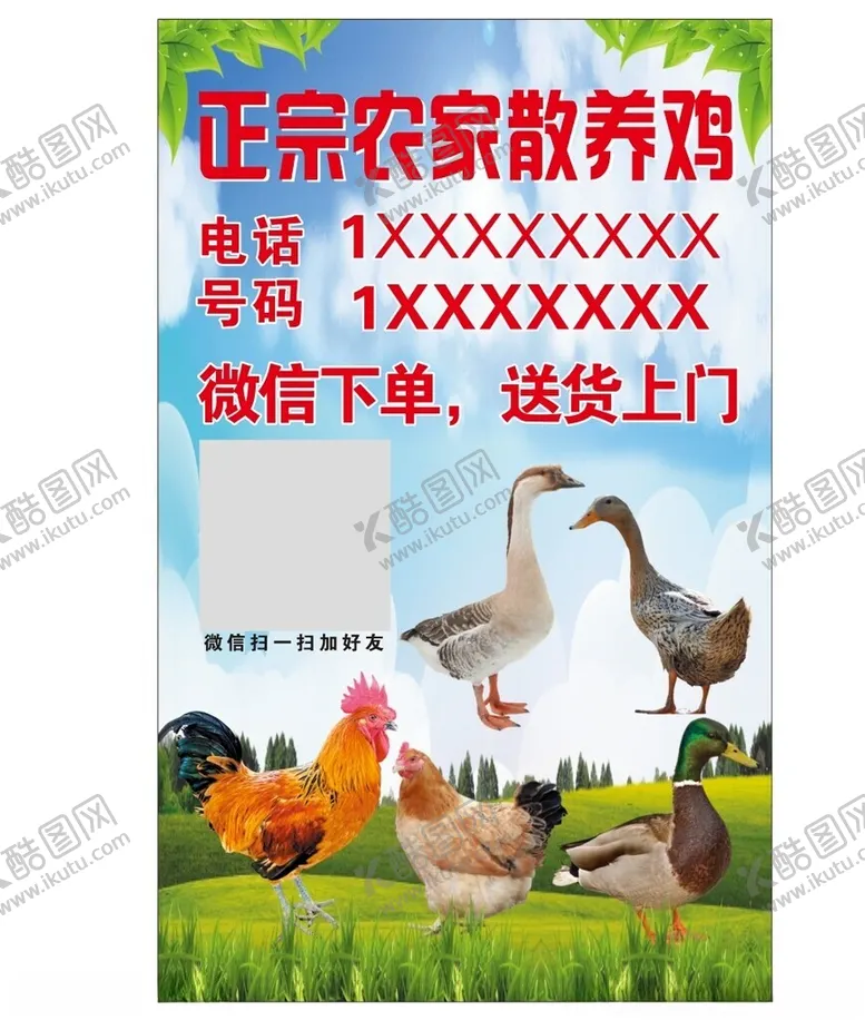 编号：47440401301626156825【酷图网】源文件下载-散养鸡