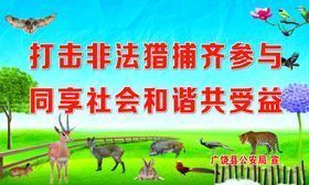 打击非猎捕保护野生动物