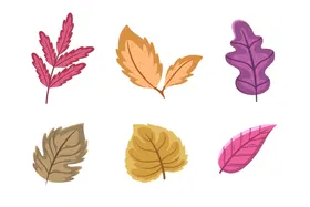 叶子植物插图形状