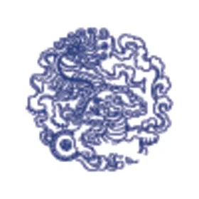 青花纹样边中国设计传统瓷