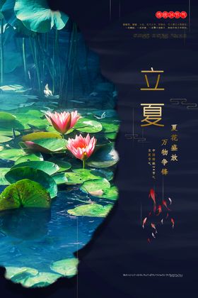 荷花立夏海报