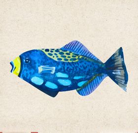 矢量动物矢量植物插画手绘