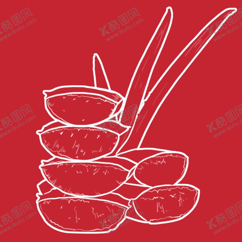 编号：38499405090827403040【酷图网】源文件下载-芦荟手绘插画