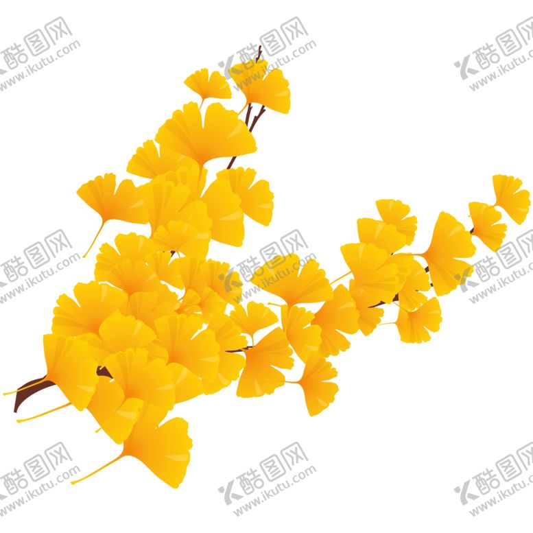 编号：51650009270207097864【酷图网】源文件下载-秋天银杏叶