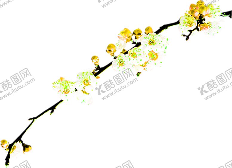 编号：78093907061150119737【酷图网】源文件下载-花素材