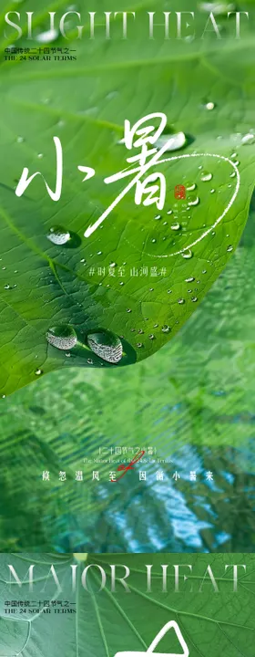 小暑大暑荷花荷叶节气海报