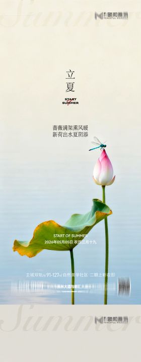 立夏节气节日海报二十四