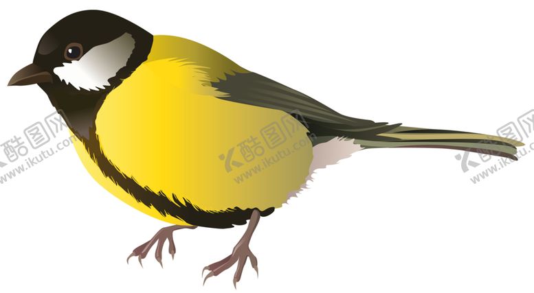 编号：69934001172213003568【酷图网】源文件下载-鸟