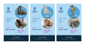 海珊瑚