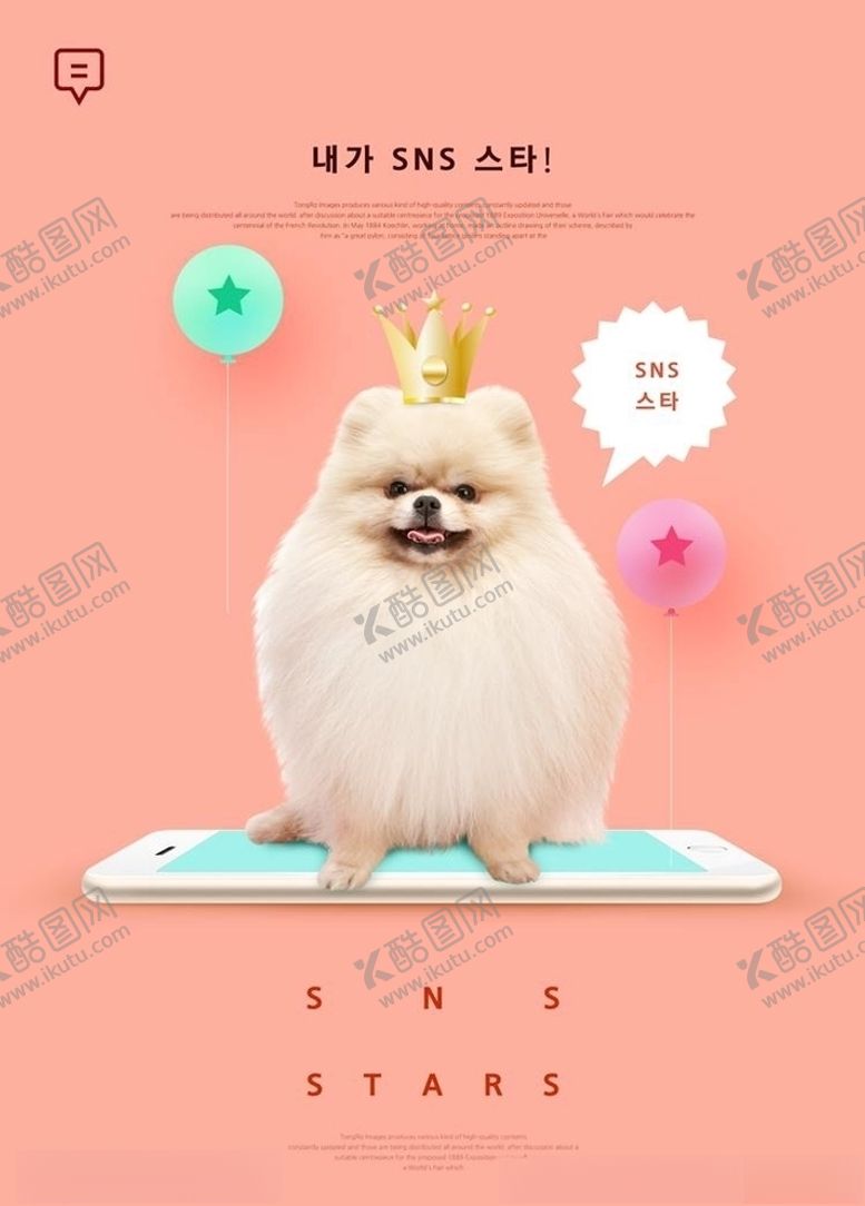 编号：99590205051656283583【酷图网】源文件下载-宠物海报