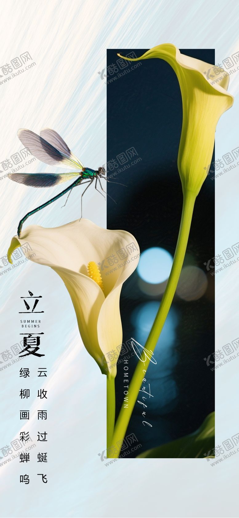 编号：81013404052135296771【酷图网】源文件下载-夏日马蹄莲清新海报