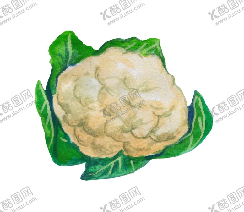 编号：39359809190526021934【酷图网】源文件下载-蔬菜