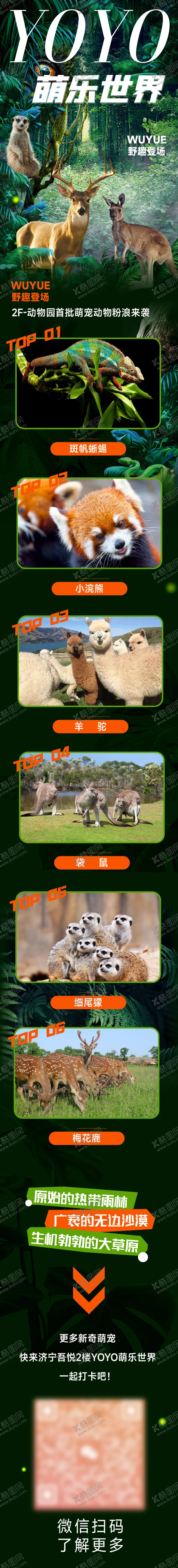 编号：21432212262009574534【酷图网】源文件下载-商场动物园公众号推广长图