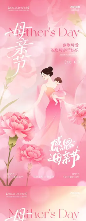 母亲节康乃馨温馨插画海报