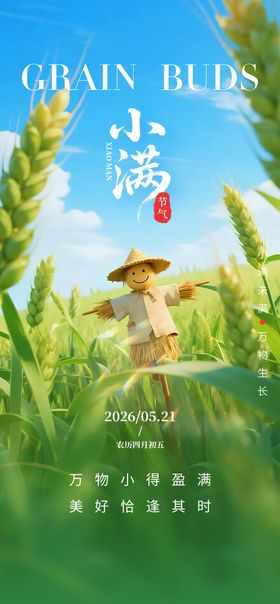 二十四节气小满人生圆满海报