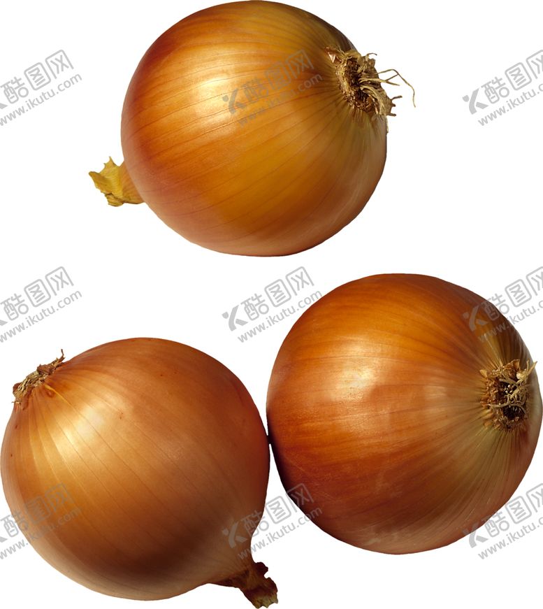 编号：81120310072125231586【酷图网】源文件下载-洋葱
