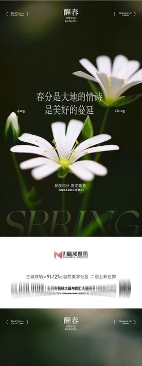 龙抬头春分节日节气海报春天