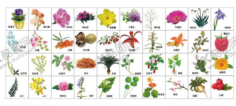 编号：75121101200139407121【酷图网】源文件下载-草药篇