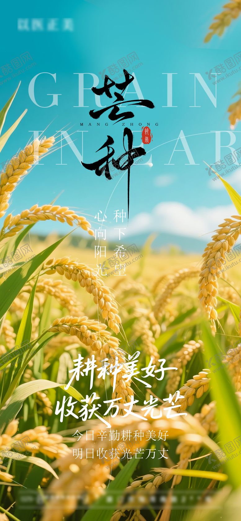 编号：98007006151646226408【酷图网】源文件下载-芒种节气海报