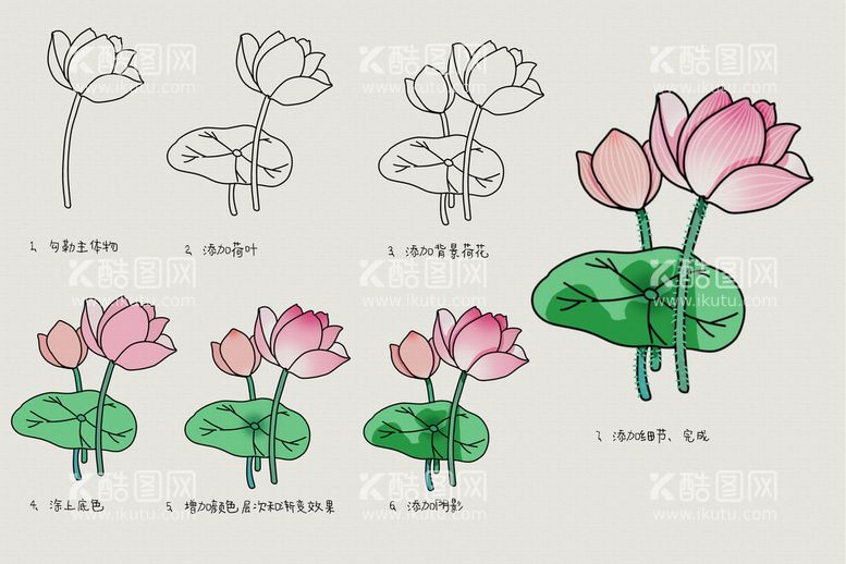 编号：54731611201612113491【酷图网】源文件下载-荷花画画教程