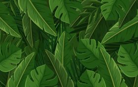 线条矢量手绘花草植物