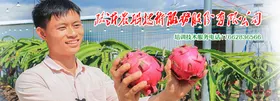 农业宣传海报展板