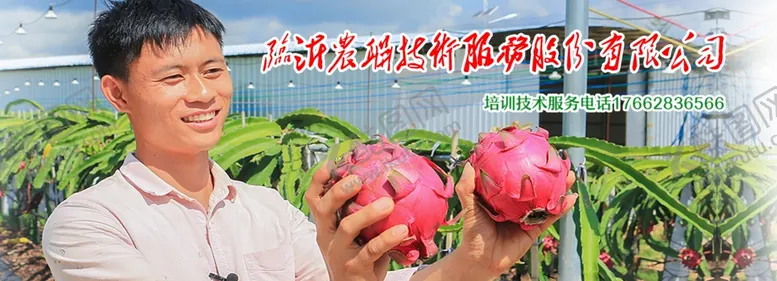 编号：89039604191013336753【酷图网】源文件下载-农业宣传展板