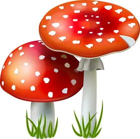 菌类植物png免抠图手绘蘑菇