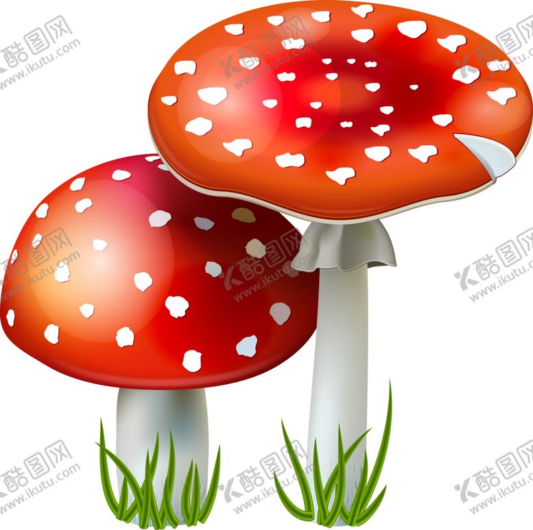 编号：41531902081945379626【酷图网】源文件下载-菌类植物