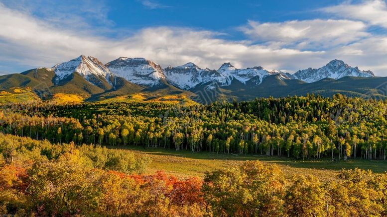 编号：17653704030359445807【酷图网】源文件下载-雪山脚下葱茏树木风光