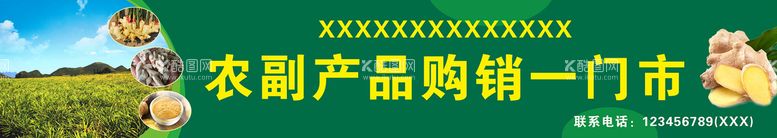 编号：78492610062217221673【酷图网】源文件下载-干姜农副产品收购