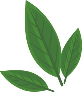 抹茶相关矢量图绿色卡通