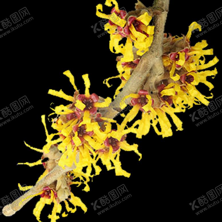 编号：83320510060543244972【酷图网】源文件下载-装饰素材