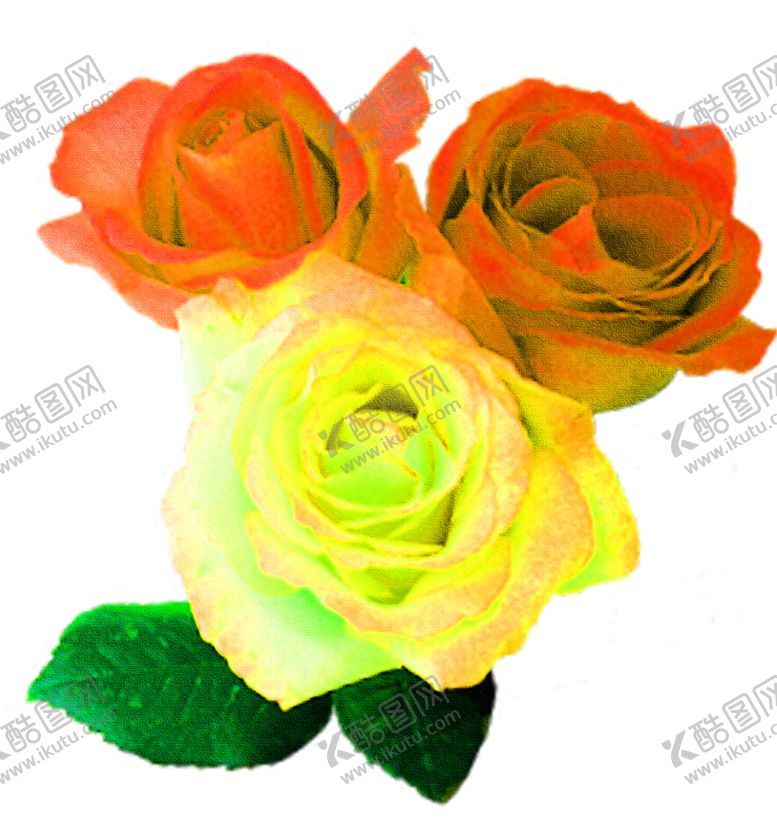 编号：88345710260507209384【酷图网】源文件下载-花素材