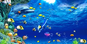 海底世界