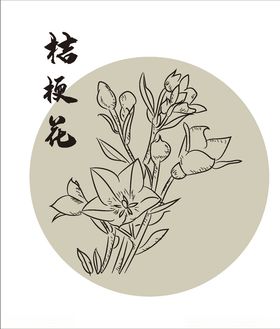 桔梗花